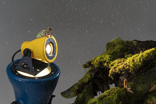Светильник Martinelli Luce Minifrog 3 Светильник Martinelli Luce Minifrog (Италия) 3